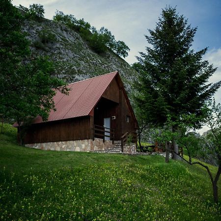 Detached House Milivoje Hotel Poscenje Kültér fotó