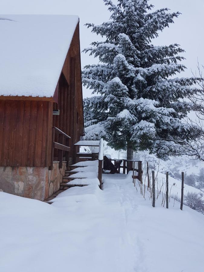 Detached House Milivoje Hotel Poscenje Kültér fotó