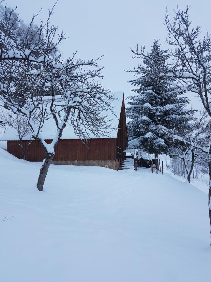 Detached House Milivoje Hotel Poscenje Kültér fotó