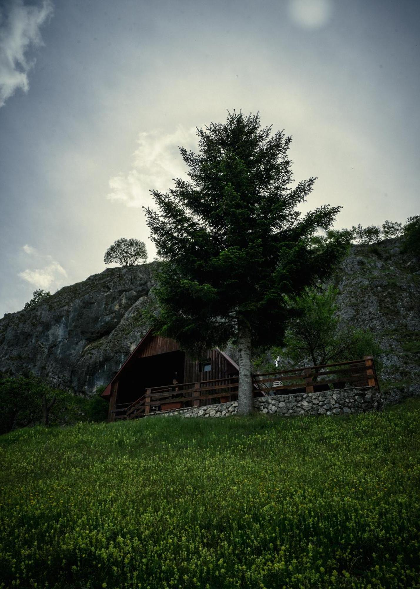 Detached House Milivoje Hotel Poscenje Kültér fotó